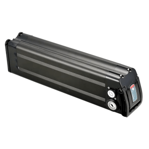 Rechargeable 48V 20Ah 1000W Silver Fish Lithium Battery Pack